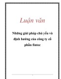 Luận văn: Những giải pháp chủ yếu và định hướng của công ty cổ phần fintec