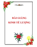 Tập bài giảng Kinh tế lượng