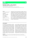 Báo cáo khoa học: Vesicular trafﬁc in cell navigation