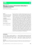 Báo cáo khoa học: Molecular structures and functional relationships in clostridial neurotoxins