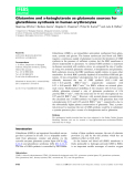 Báo cáo khoa học: Glutamine and a-ketoglutarate as glutamate sources for glutathione synthesis in human erythrocytes