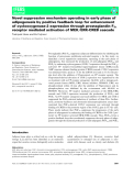 Báo cáo khoa học: Novel suppression mechanism operating in early phase of adipogenesis by positive feedback loop for enhancement of cyclooxygenase-2 expression through prostaglandin F2a receptor mediated activation of MEK⁄ ERK-CREB cascade