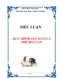 TIỂU LUẬN: QUY TRÌNH SẢN XUẤT CÀ PHÊ HOÀ TAN