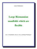 Đề tài "  Large Riemannian manifolds which are flexible "