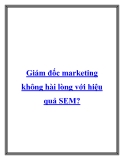 Giám đốc marketing không hài lòng với hiệu quả SEM?