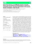 Báo cáo khoa học: Interaction between very-KIND Ras guanine exchange factor and microtubule-associated protein 2, and its role in dendrite growth – structure and function of the second kinase noncatalytic C-lobe domain