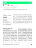 Báo cáo khoa học: Transient DNA ⁄ RNA-protein interactions