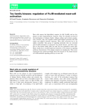 Báo cáo khoa học: Tec family kinases: regulation of FceRI-mediated mast-cell activation