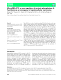 Báo cáo khoa học: MicroRNA-373, a new regulator of protein phosphatase 6, functions as an oncogene in hepatocellular carcinoma