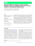 Báo cáo khoa học: Bacitracin inhibits the reductive activity of protein disulﬁde isomerase by disulﬁde bond formation with free cysteines in the substrate-binding domain