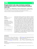 Báo cáo khoa học: Phosphorylation is the major mechanism regulating isocitrate lyase activity in Paracoccidioides brasiliensis yeast cells