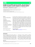 Báo cáo khoa học: Insights into the Rrf2 repressor family – the structure of CymR, the global cysteine regulator of Bacillus subtilis