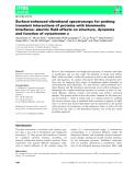 Báo cáo khoa học: Surface-enhanced vibrational spectroscopy for probing transient interactions of proteins with biomimetic interfaces: electric field effects on structure, dynamics and function of cytochromec