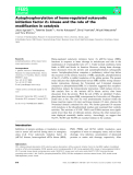 Báo cáo khoa học: Autophosphorylation of heme-regulated eukaryotic initiation factor 2a kinase and the role of the modiﬁcation in catalysis