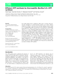 Báo cáo khoa học: Efﬁcient ATP synthesis by thermophilic Bacillus FoF1-ATP synthase