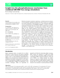 Báo cáo khoa học: Insight into the phosphodiesterase mechanism from combined QM ⁄ MM free energy simulations