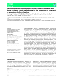 Báo cáo khoa học: Mitochondrial transcription factor A overexpression and base excision repair deﬁciency in the inner ear of rats with D-galactose-induced aging