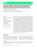 Báo cáo khoa học: A structured RNA in hepatitis B virus post-transcriptional regulatory element represses alternative splicing in a sequence-independent and position-dependent manner