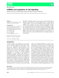 Báo cáo khoa học: miRNAs and regulation of cell signaling