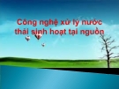 Đề tài: Công nghệ xử lý nước thải sinh hoạt tại nguồn