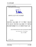 Luận văn " THƯƠNG MẠI ĐIỆN TỬ VÀ THỰC TRẠNG ỨNG DỤNG THƯƠNG MẠI ĐIỆN TỬ TRONG DOANH NGHIỆP VỪA VÀ NHỎ Ở VIỆT NAM"