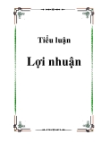 Tiểu luận Lợi nhuận 1