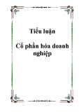 Tiểu luận Cổ phần hóa doanh nghiệp