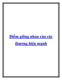 Điểm giống nhau của các thương hiệu mạnh.Một thương hiệu mạnh có thể mang