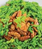 Nhộng xào thiên lý