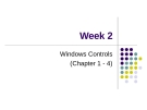 Week 2 - Windows Controls