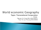 World economic Geography