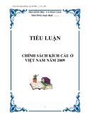 TIỂU LUẬN: CHÍNH SÁCH KÍCH CẦU Ở VIỆT NAM NĂM 2009