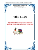 TIỂU LUẬN: TÌNH HÌNH SỬ DỤNG LAO ĐỘNG Ở THÀNH PHỐ HỒ CHÍ MINH NĂM 2010