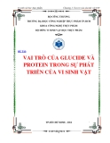 ĐỀ TÀI TIỂU LUẬN: VAI TRÒ CỦA GLUCIDE VÀ PROTEIN TRONG SỰ PHÁT TRIỂN CỦA VI SINH VẬT