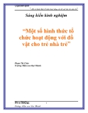 Sáng kiến kinh nghiệm   “Một số hình thức tổ chức hoạt động với đồ vật cho trẻ nhà trẻ”