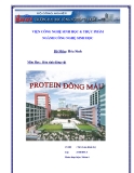 Tiểu luận:Protein đông máu