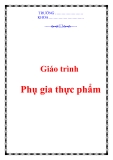 Giáo trình về Phụ gia thực phẩm