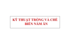 KỸ THUẬT TRỒNG VÀ CHẾ BIẾN NẤM ĂN