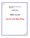 TIỂU LUẬN:  San hô trên Biển Đông