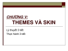 CHƯƠNG VI:THEMES VÀ SKIN