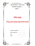 Tiểu luận: Tổng quan pháp luật kinh doanh