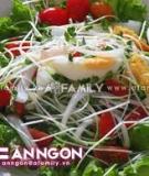 Salad rau mầm