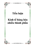 Tiểu luận Kinh tế hàng hóa nhiều thành phần