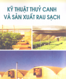 Phương pháp thủy canh và sản xuất rau sạch