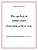 Đề tài " The topological classification of minimal surfaces in R3 "