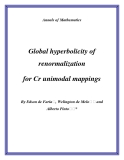 Đề tài "  Global hyperbolicity of renormalization for Cr unimodal mappings "