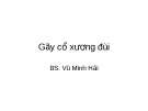 Bài giảng: Gãy cổ xương đùi