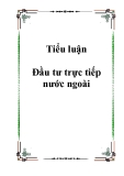 Tiểu luận phân tích đầu tư trực tiếp nước ngoài