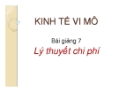 Bài giảng 7:  Lý thuyết chi phí