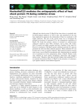 Báo cáo khoa học: Nucleolin/C23 mediates the antiapoptotic effect of heat shock protein 70 during oxidative stress